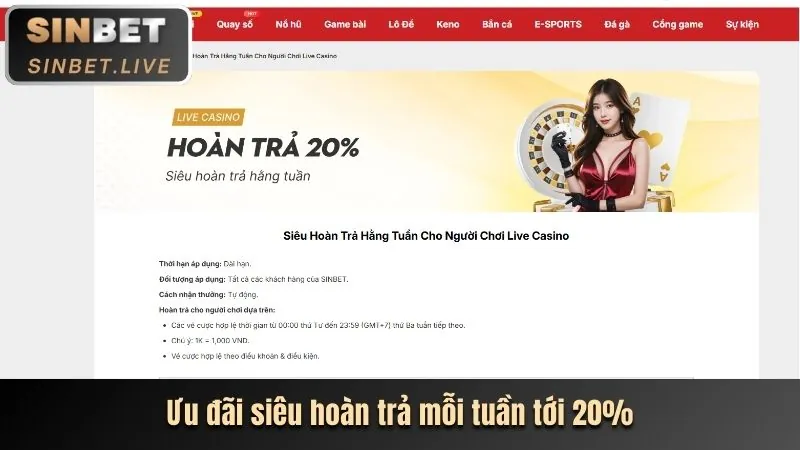 Tổng quan về Wynn09 Casino